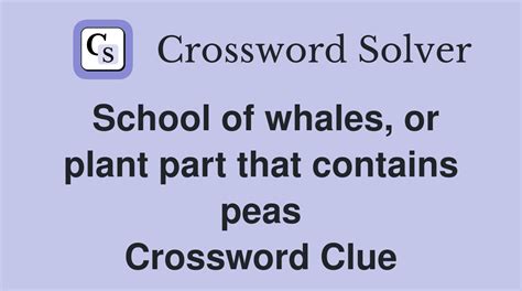 schools of whales crossword clue